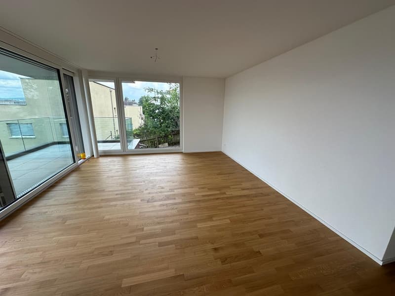 Appartamento 3 ½ locali, 8055 Zurich (5)