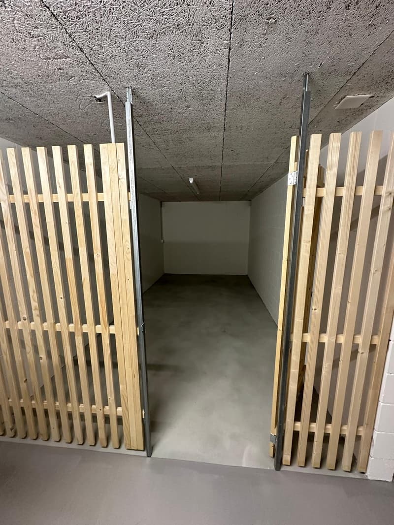 Appartamento 3 ½ locali, 8055 Zurich (10)
