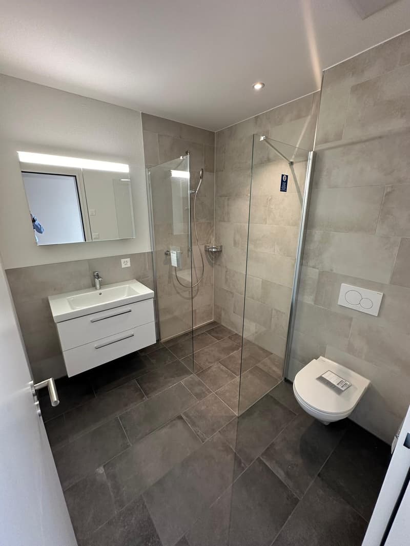 Appartamento 3 ½ locali, 8055 Zurich (9)
