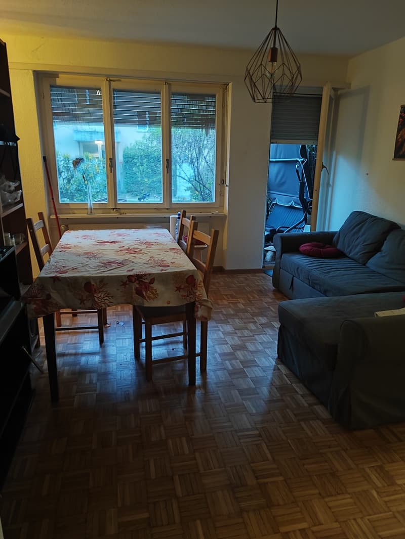 2 1/2 room full appartment with garden (4)