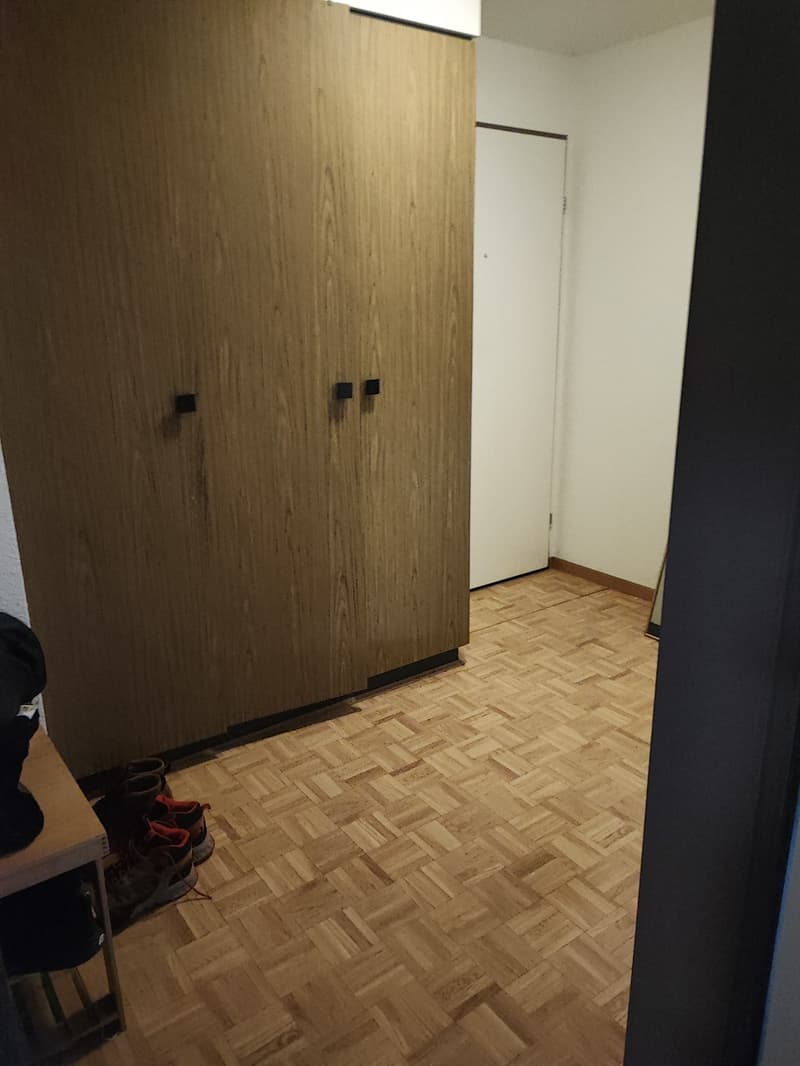 2 1/2 room full appartment with garden (5)