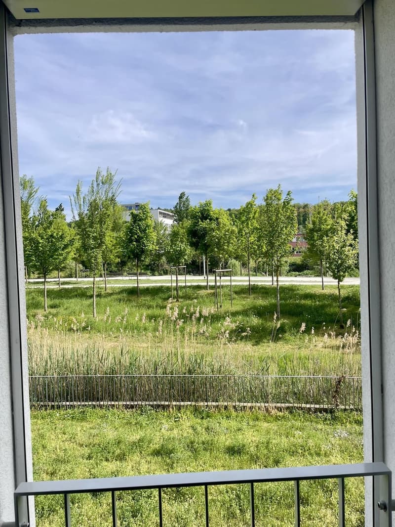 Vue depuis chambre
