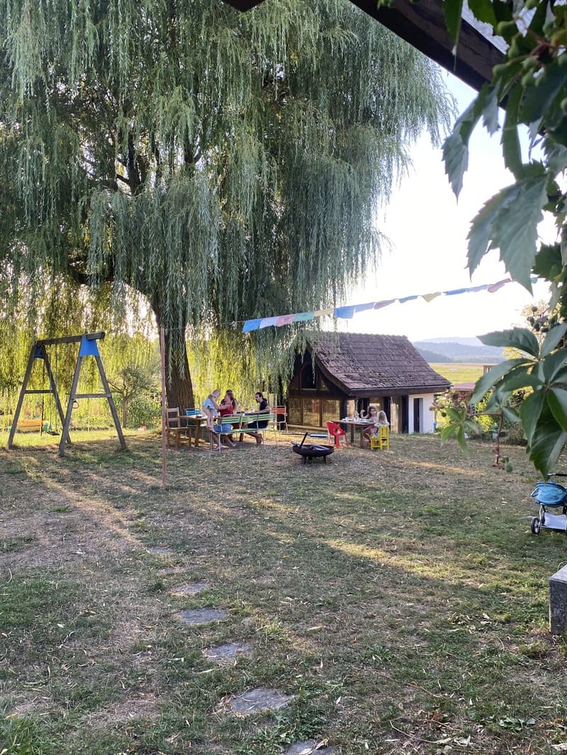 Zimmer zu vermieten in Gewo Aronia (3)