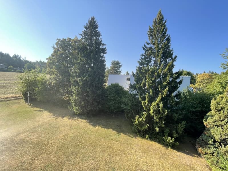 Helle und gemütliche 3½-Zimmer-Wohnung in ruhiger und naturnaher Lage im Zollikerberg (10)
