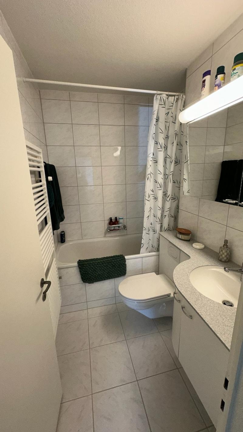 Helle und gemütliche 3½-Zimmer-Wohnung in ruhiger und naturnaher Lage im Zollikerberg (8)