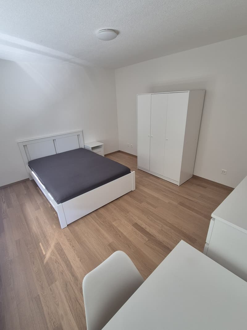 möbliertes Zimmer in Zürich-Altstetten (1)