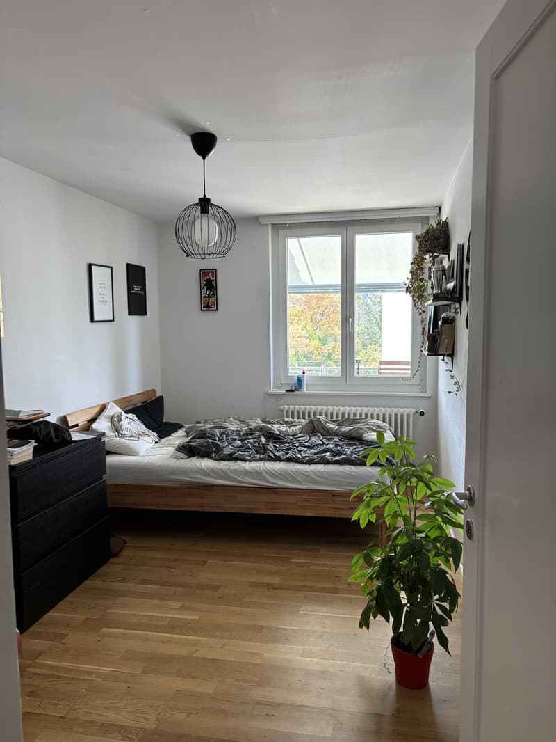3.5 Zimmer Wohnung nähe Bahnhof Wettingen (5)