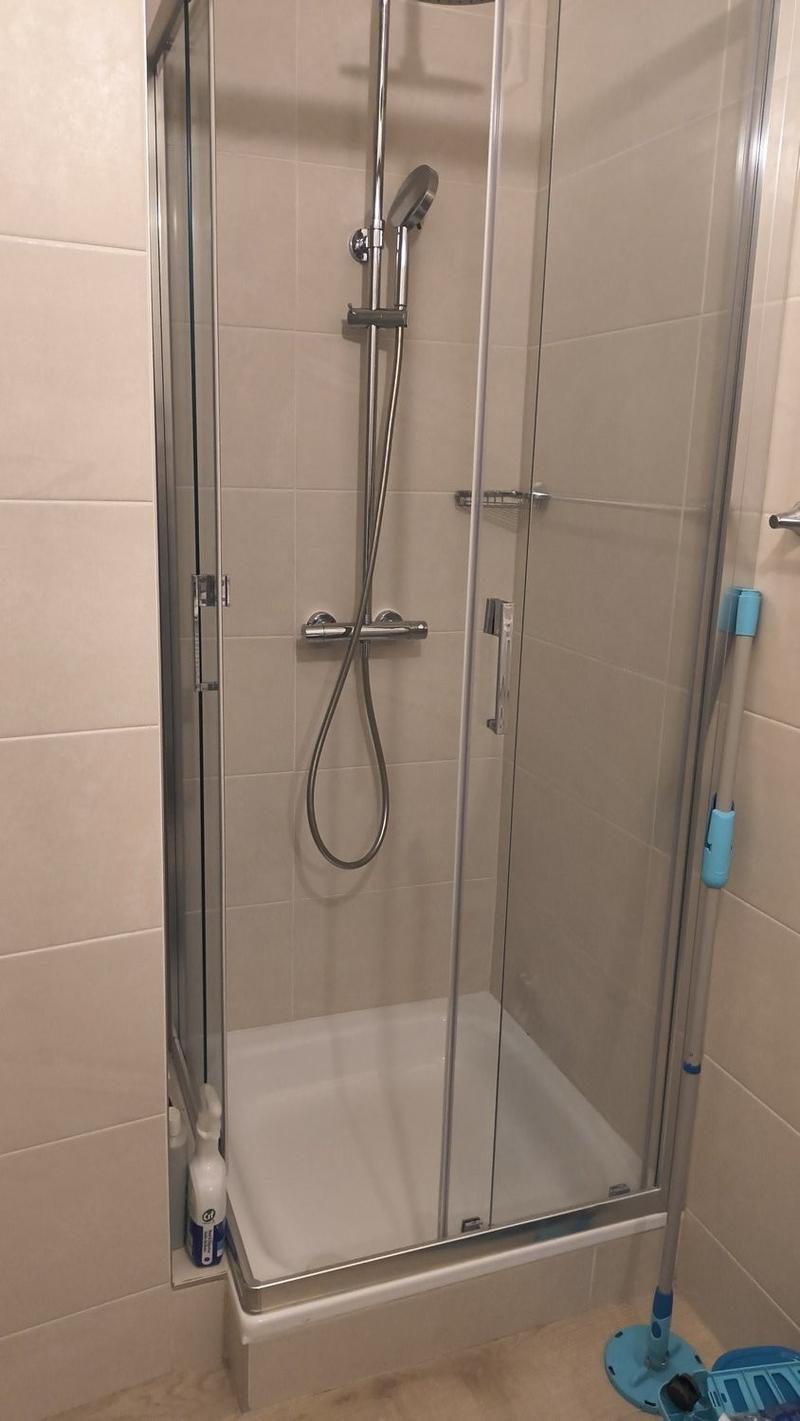 Grand studio de 40 m2 rénové et lumineux à Grand-Lancy (4)