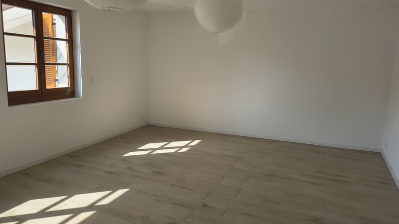 Grand studio de 40 m2 rénové et lumineux à Grand-Lancy (3)