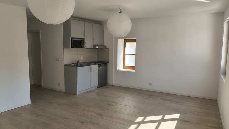 Grand studio de 40 m2 rénové et lumineux à Grand-Lancy (2)