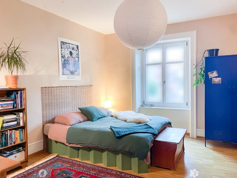 Beautiful, stylish apartment in Biel city center and near the lake (6)