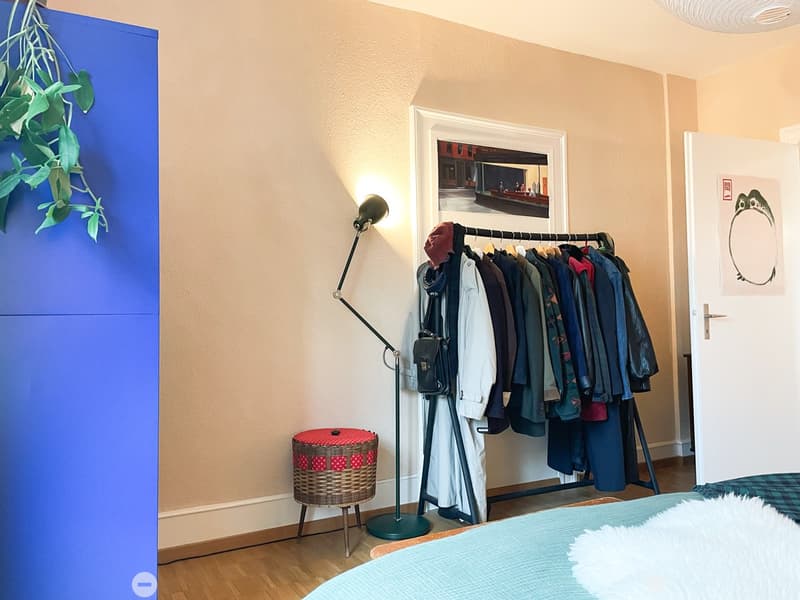 Beautiful, stylish apartment in Biel city center and near the lake (5)