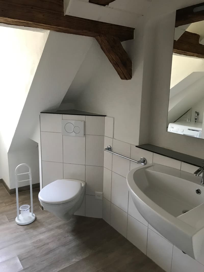 loft (4)