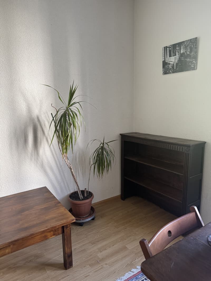 2-Zimmer Wohnung Erlenmatt (möbiliert, befristet) (7)