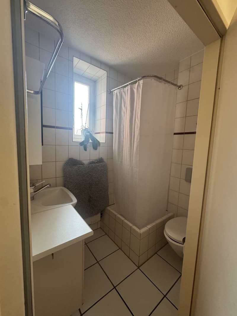 2-Zimmer Wohnung Erlenmatt (möbiliert, befristet) (11)