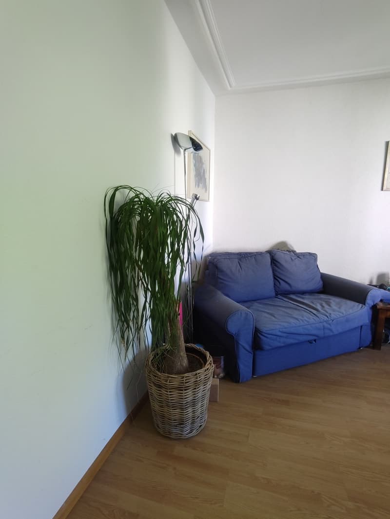 2-Zimmer Wohnung Erlenmatt (möbiliert, befristet) (6)