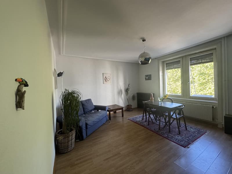 2-Zimmer Wohnung Erlenmatt (möbiliert, befristet) (5)