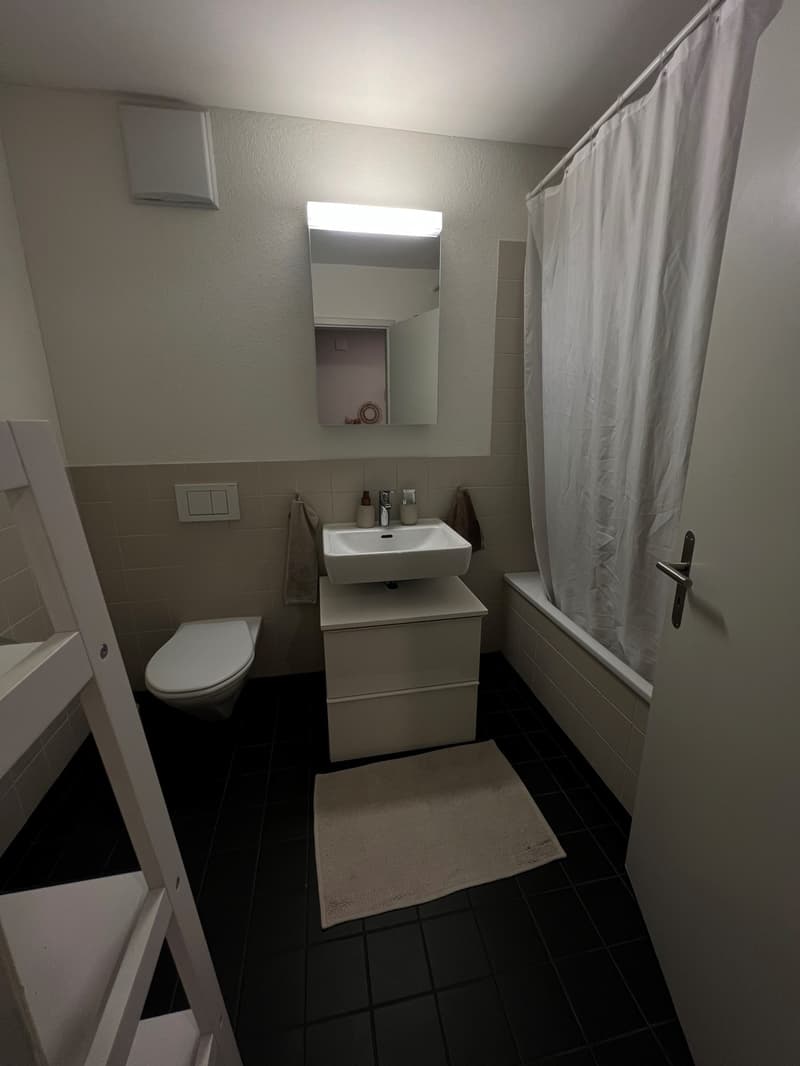 Möblierte 2.5-Zimmer-Wohnung an zentraler Lage ca. 6 Monate (4)