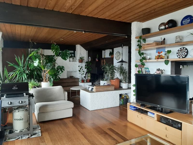 Sunny Room in large Hoengg Flatshare (5)