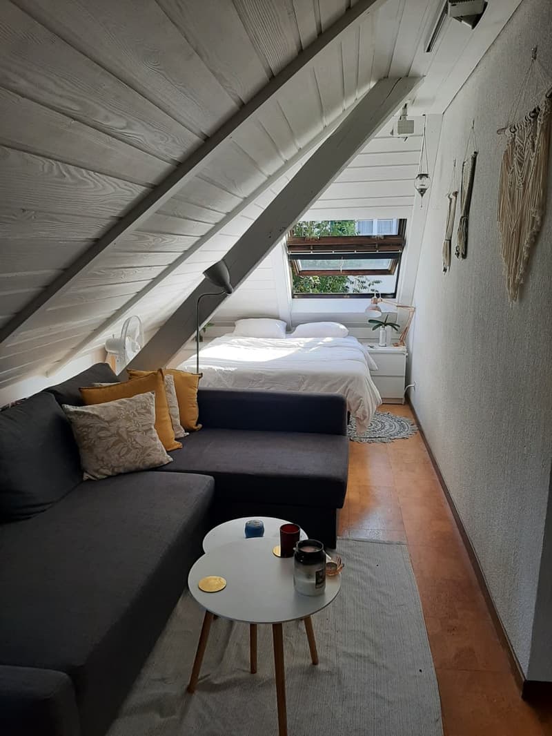 Sunny Room in large Hoengg Flatshare (1)