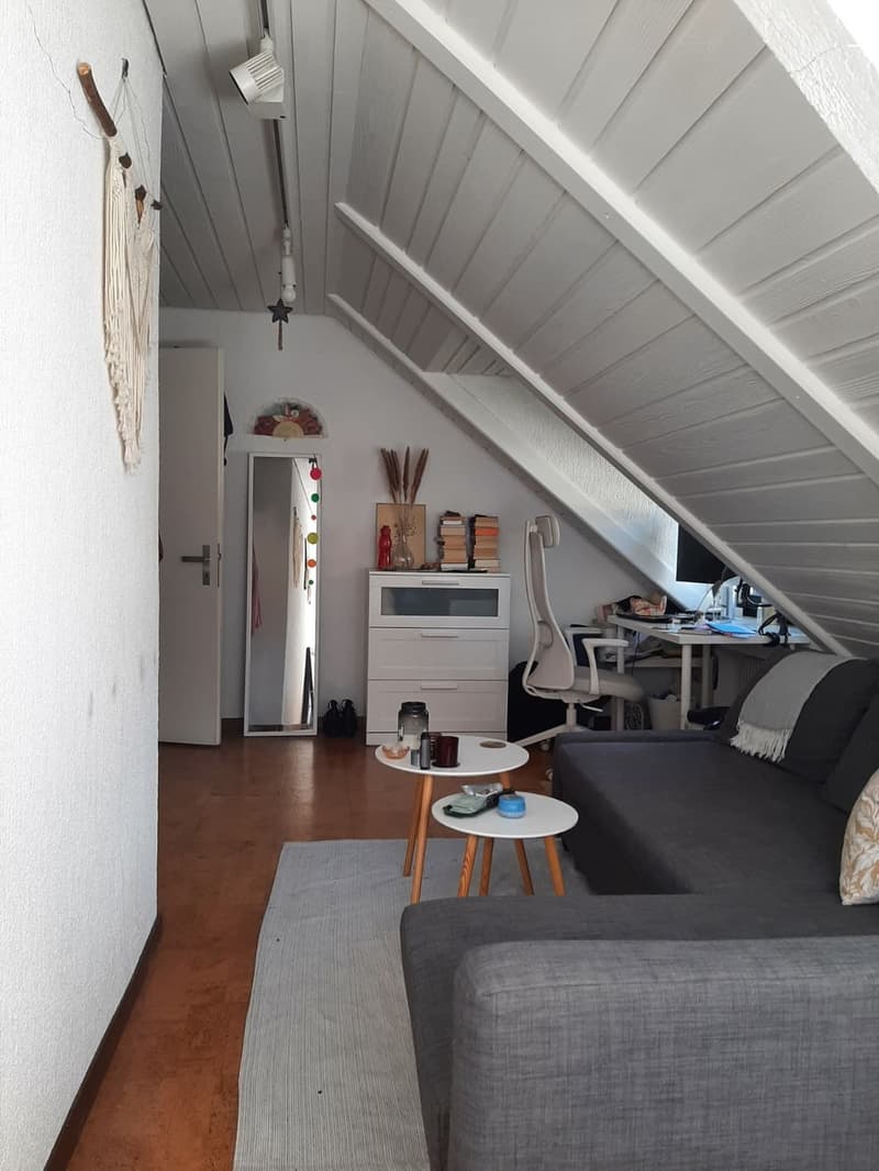 Sunny Room in large Hoengg Flatshare (3)