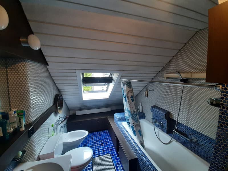 Sunny Room in large Hoengg Flatshare (9)