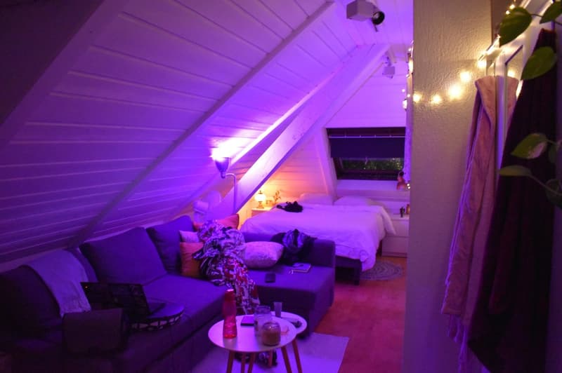 Sunny Room in large Hoengg Flatshare (4)