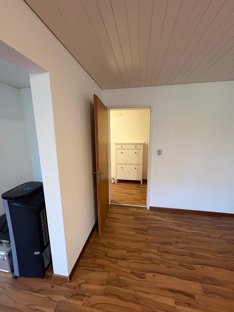 3-Zimmer-Wohnung  grosszügig, preiswert und teilsaniert (12)