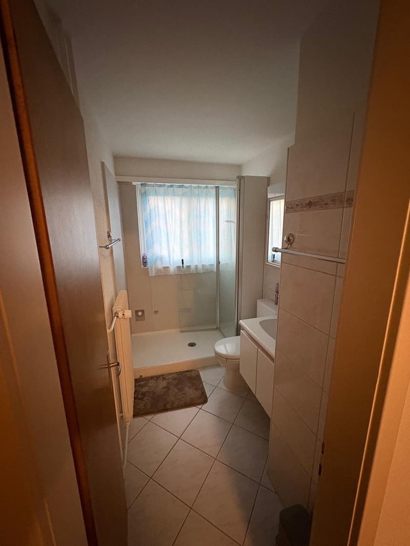 3-Zimmer-Wohnung  grosszügig, preiswert und teilsaniert (6)