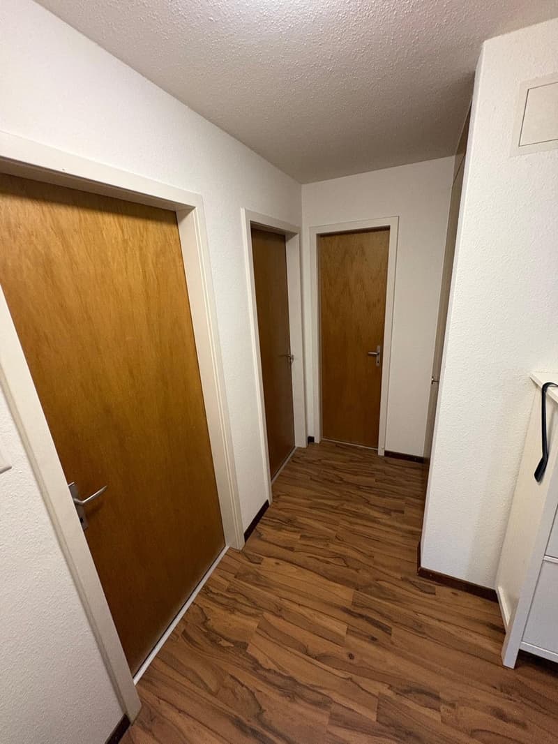 3-Zimmer-Wohnung  grosszügig, preiswert und teilsaniert (13)