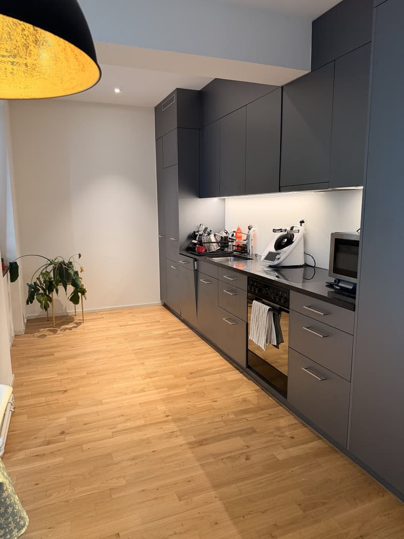 Beautiful Furnished Apartment Central Zurich (11)