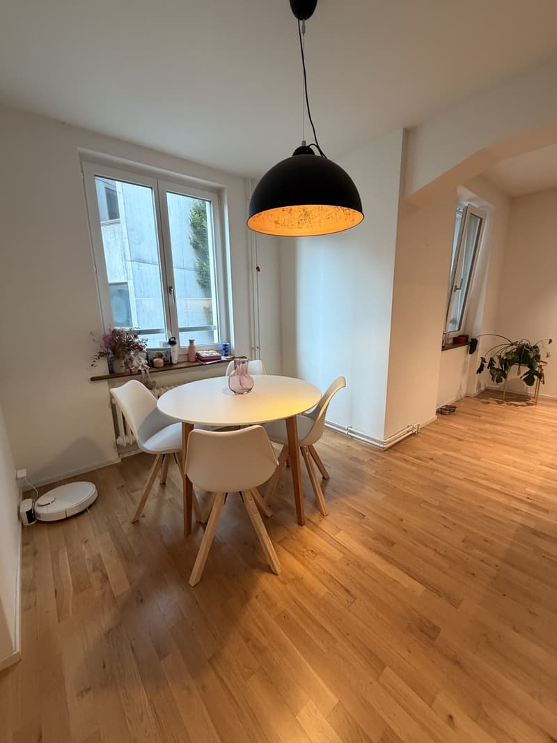 Beautiful Furnished Apartment Central Zurich (3)