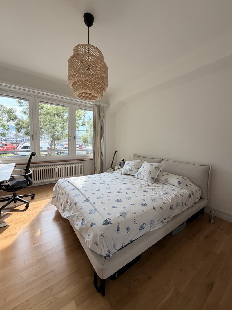 Beautiful Furnished Apartment Central Zurich (12)