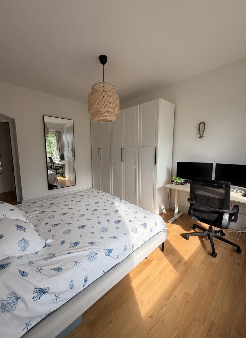 Beautiful Furnished Apartment Central Zurich (5)