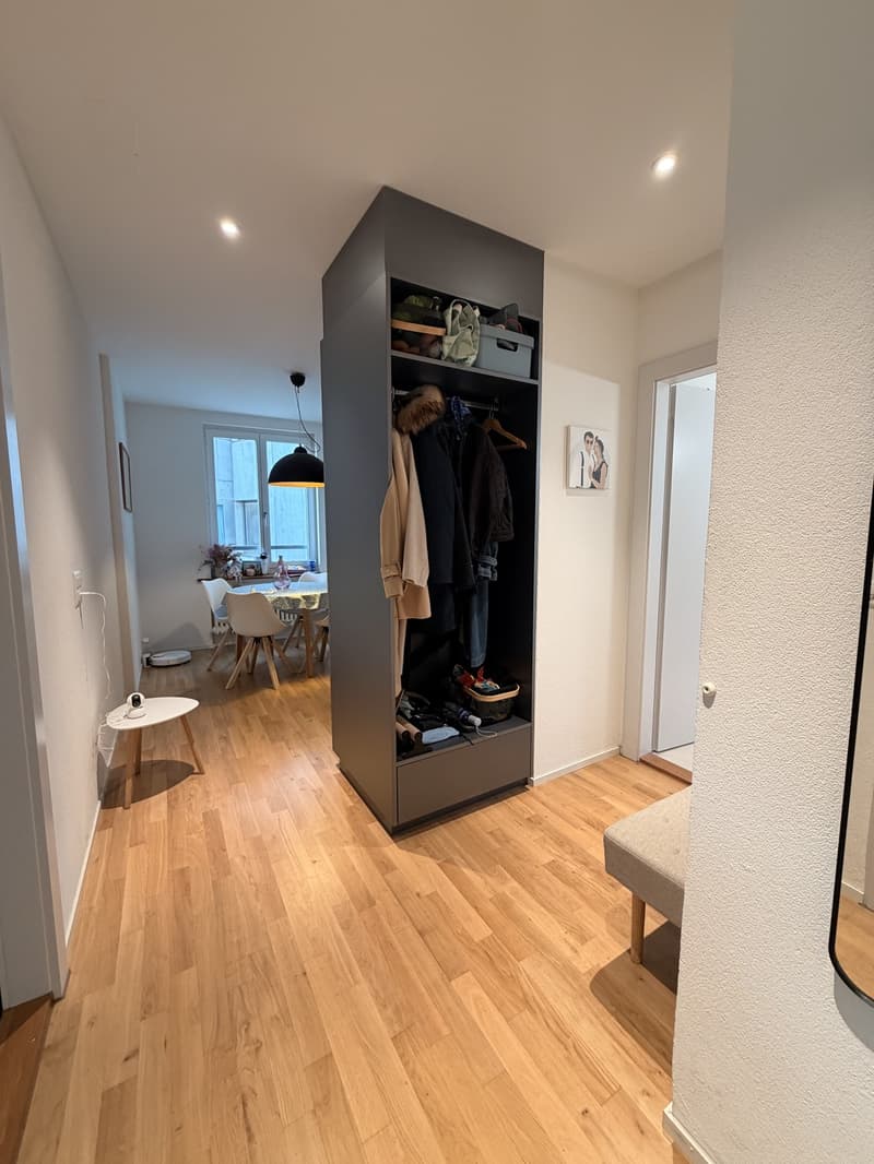 Beautiful Furnished Apartment Central Zurich (2)