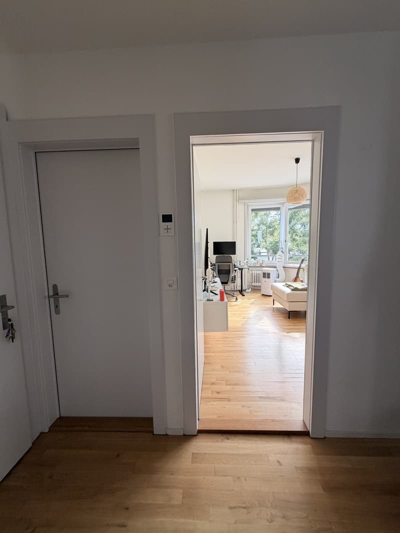 Beautiful Furnished Apartment Central Zurich (9)