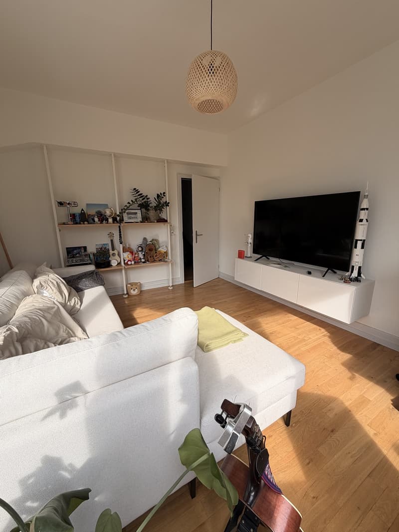 Beautiful Furnished Apartment Central Zurich (7)
