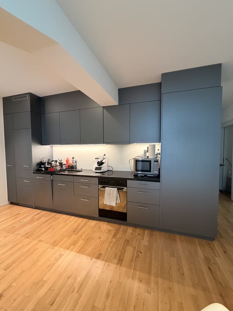 Beautiful Furnished Apartment Central Zurich (6)
