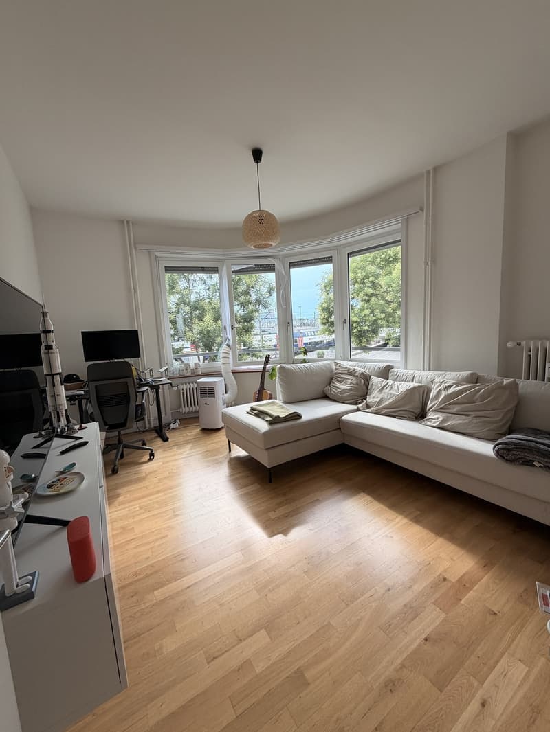 Beautiful Furnished Apartment Central Zurich (1)