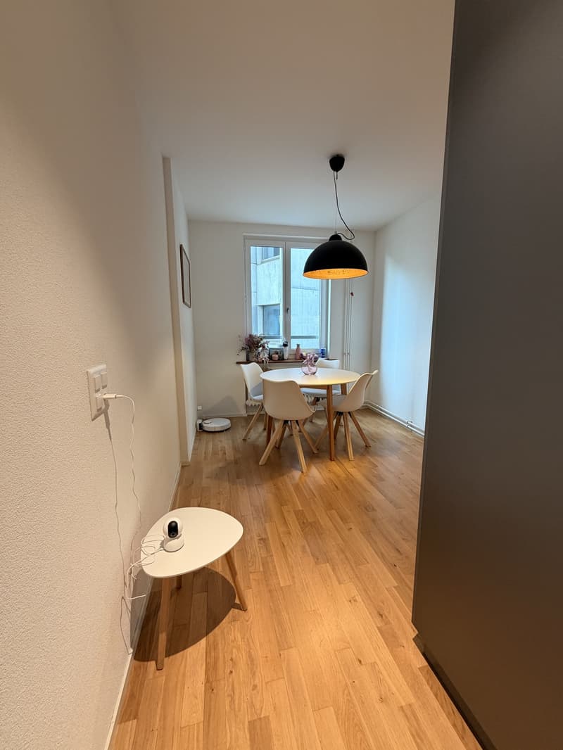 Beautiful Furnished Apartment Central Zurich (10)