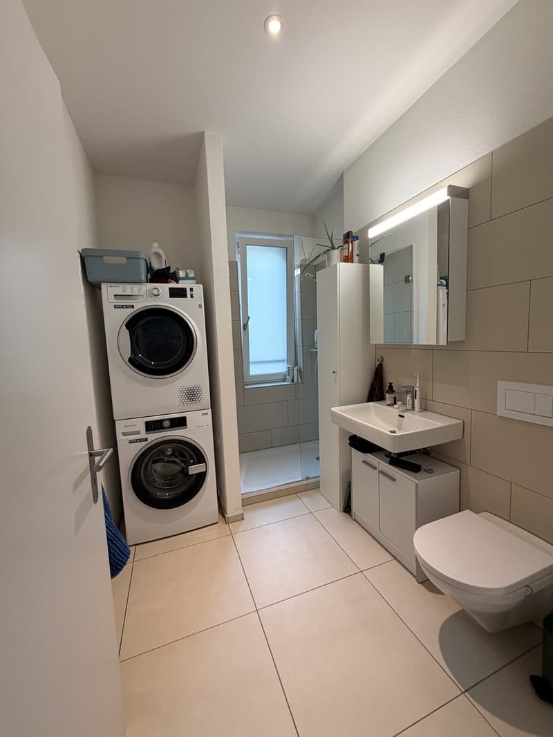 Beautiful Furnished Apartment Central Zurich (8)
