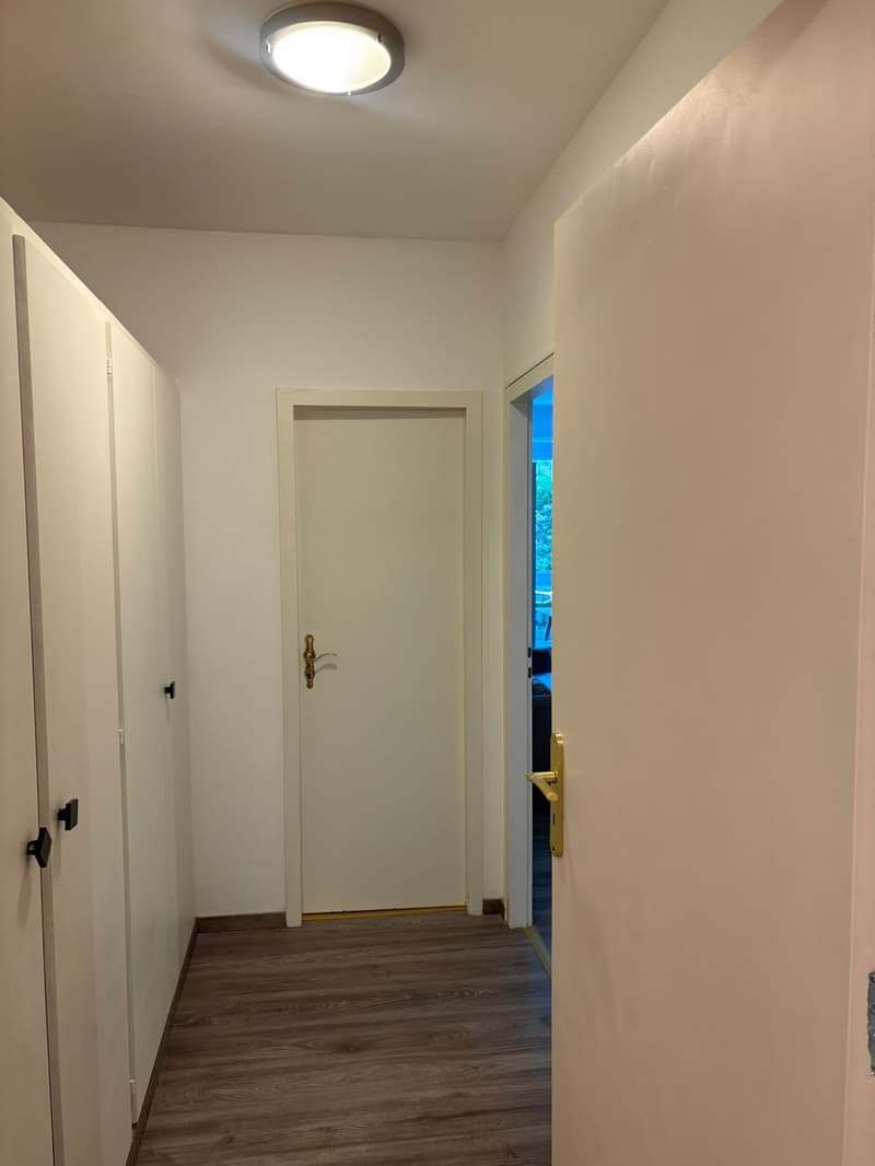 A louer magnifique 1,5 pièce rénové et meublé de 37 m2 dans appartement . (3)