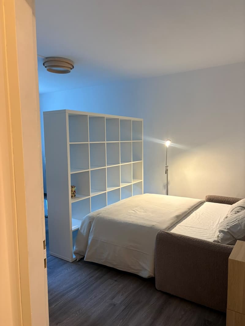 A louer magnifique 1,5 pièce rénové et meublé de 37 m2 dans appartement . (5)