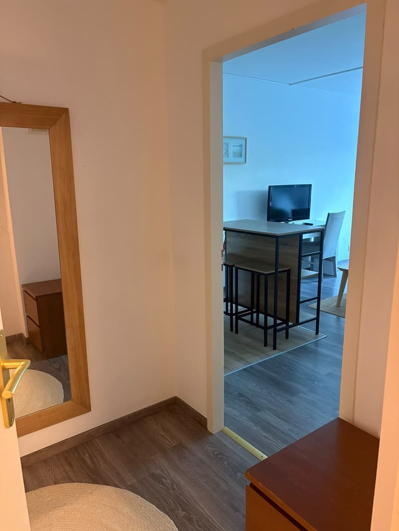 A louer magnifique 1,5 pièce rénové et meublé de 37 m2 dans appartement . (13)