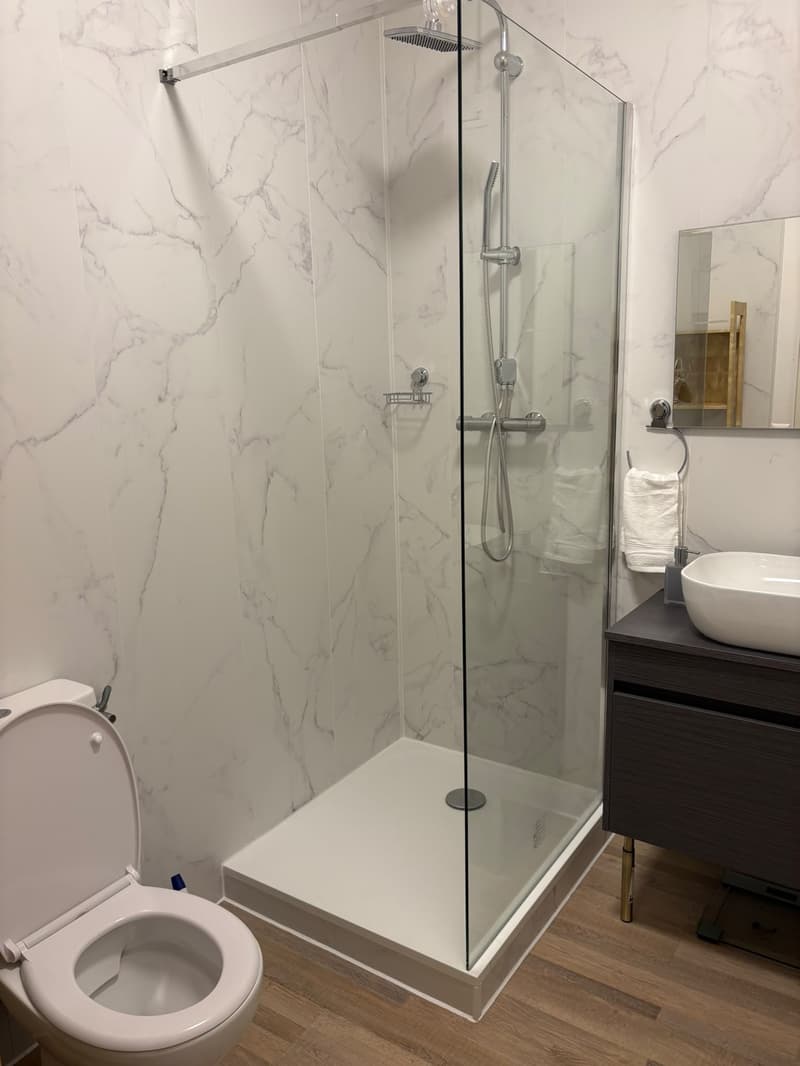 A louer magnifique 1,5 pièce rénové et meublé de 37 m2 dans appartement . (6)