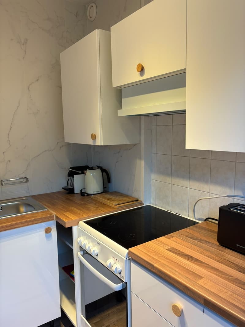 A louer magnifique 1,5 pièce rénové et meublé de 37 m2 dans appartement . (2)