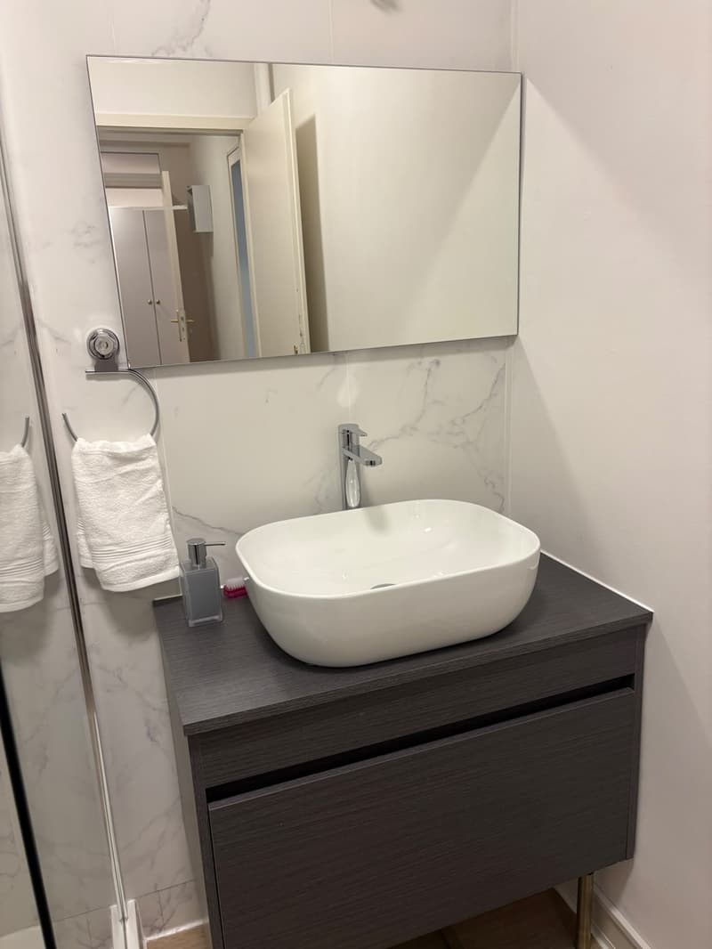 A louer magnifique 1,5 pièce rénové et meublé de 37 m2 dans appartement . (9)