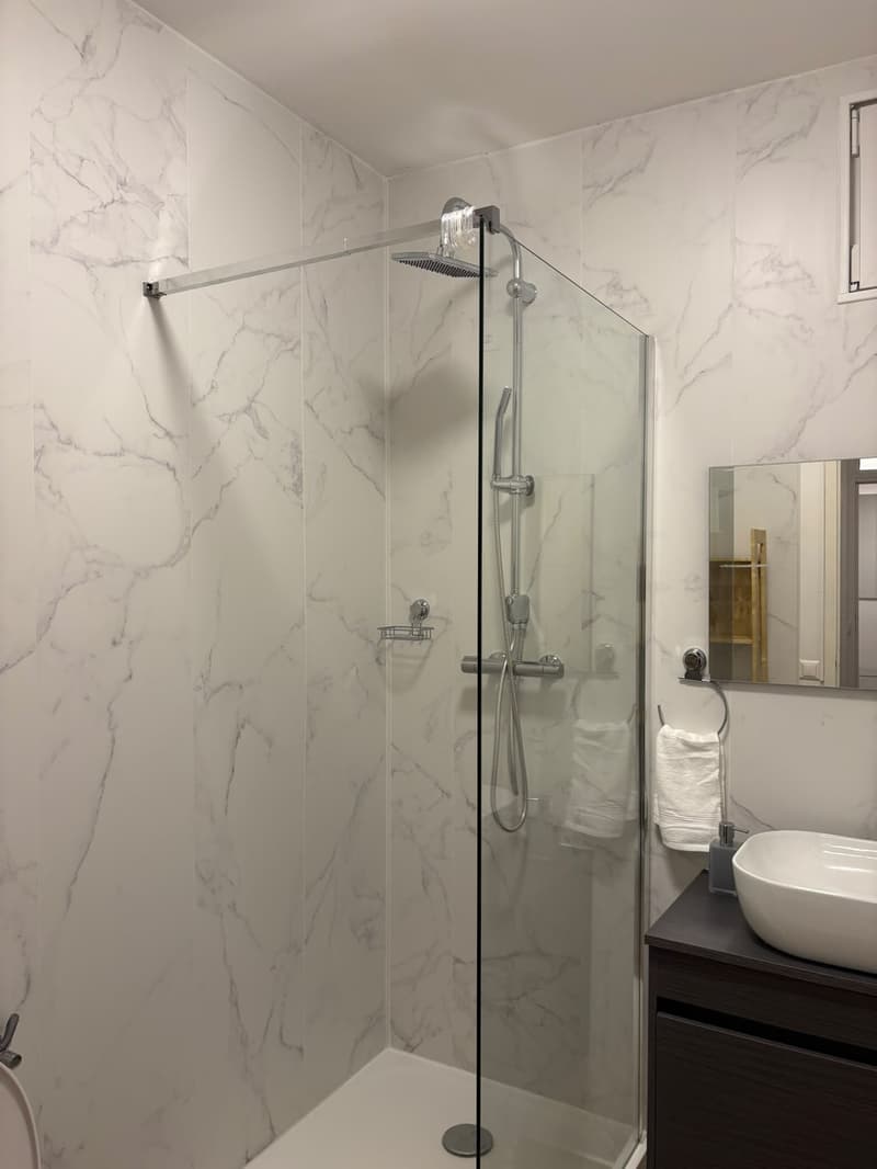 A louer magnifique 1,5 pièce rénové et meublé de 37 m2 dans appartement . (8)