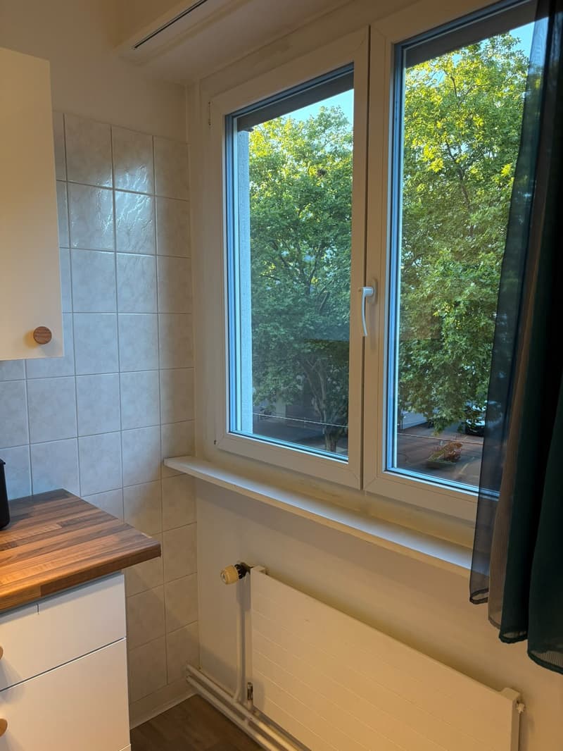 A louer magnifique 1,5 pièce rénové et meublé de 37 m2 dans appartement . (7)