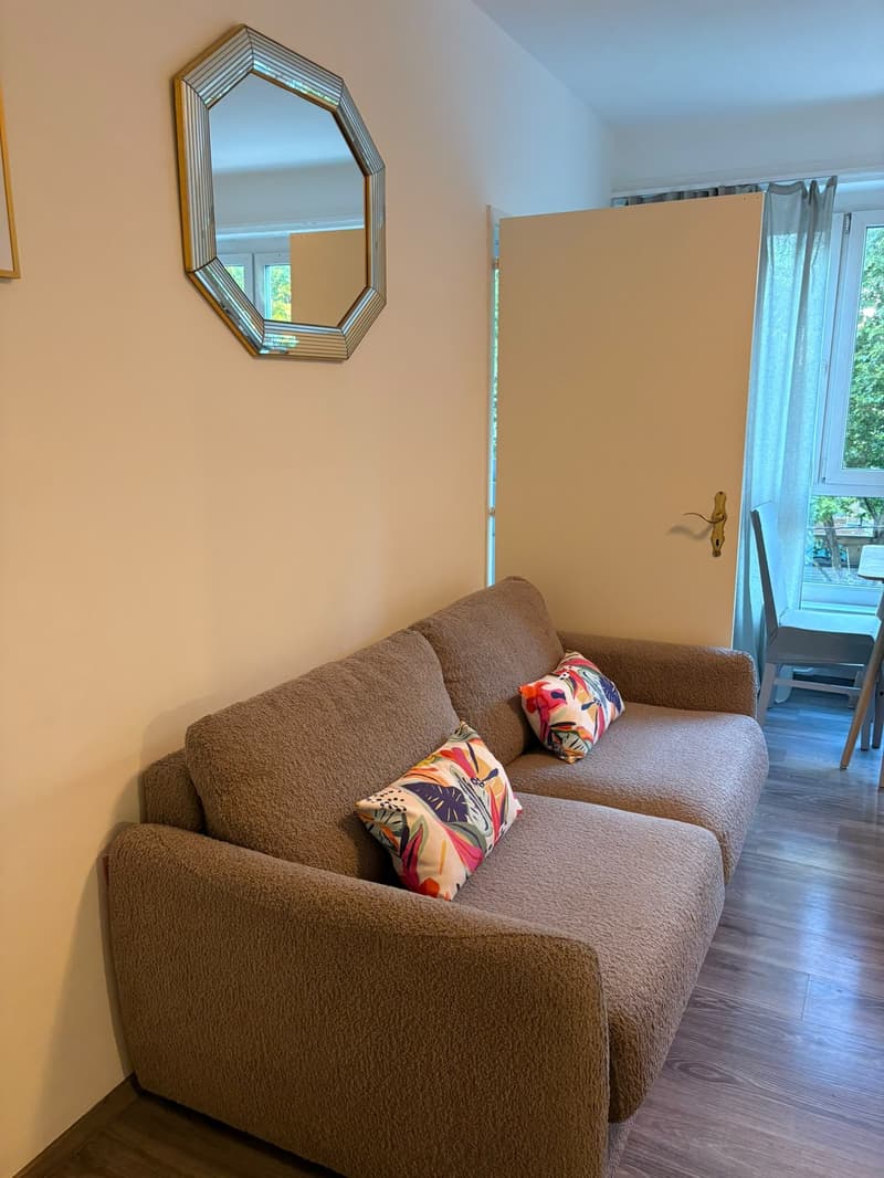 A louer magnifique 1,5 pièce rénové et meublé de 37 m2 dans appartement . (12)